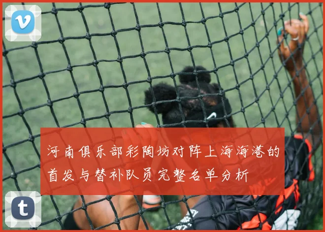 河南俱乐部彩陶坊对阵上海海港的首发与替补队员完整名单分析